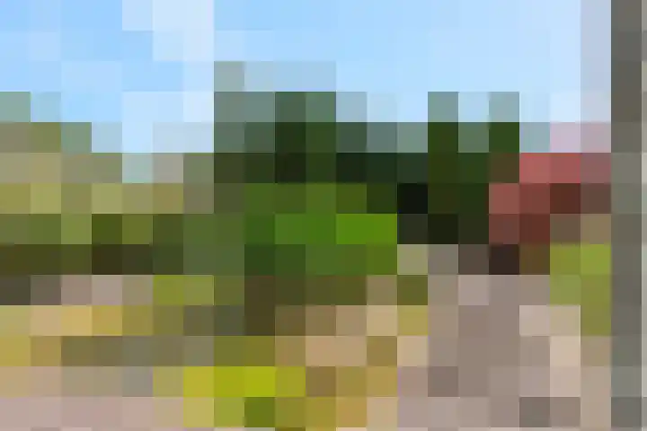 Schoolstraat 17 Alphen thumbnail 5