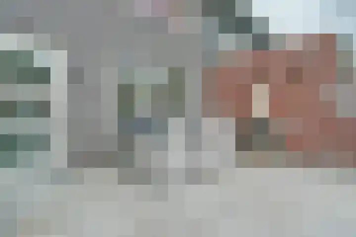 Schoolstraat 17 Baarle-Nassau thumbnail 25