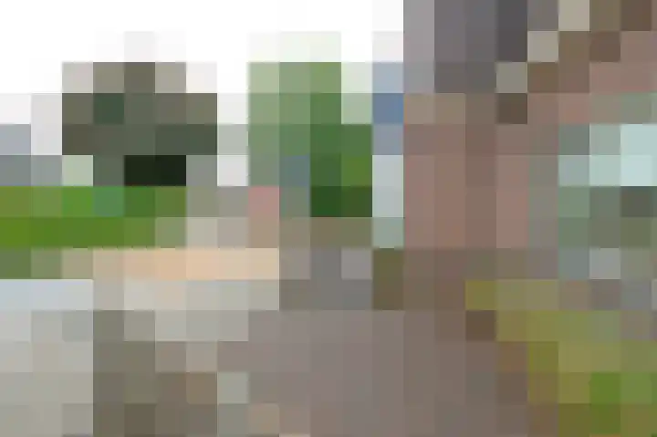 Schoolstraat 17 Beilen thumbnail 54