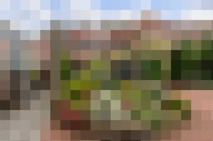 Schoolstraat 17 Bussum thumbnail 23