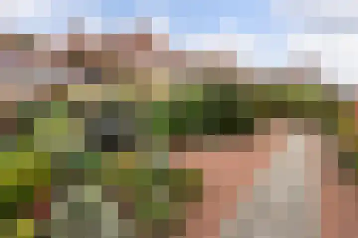 Schoolstraat 17 Bussum thumbnail 25