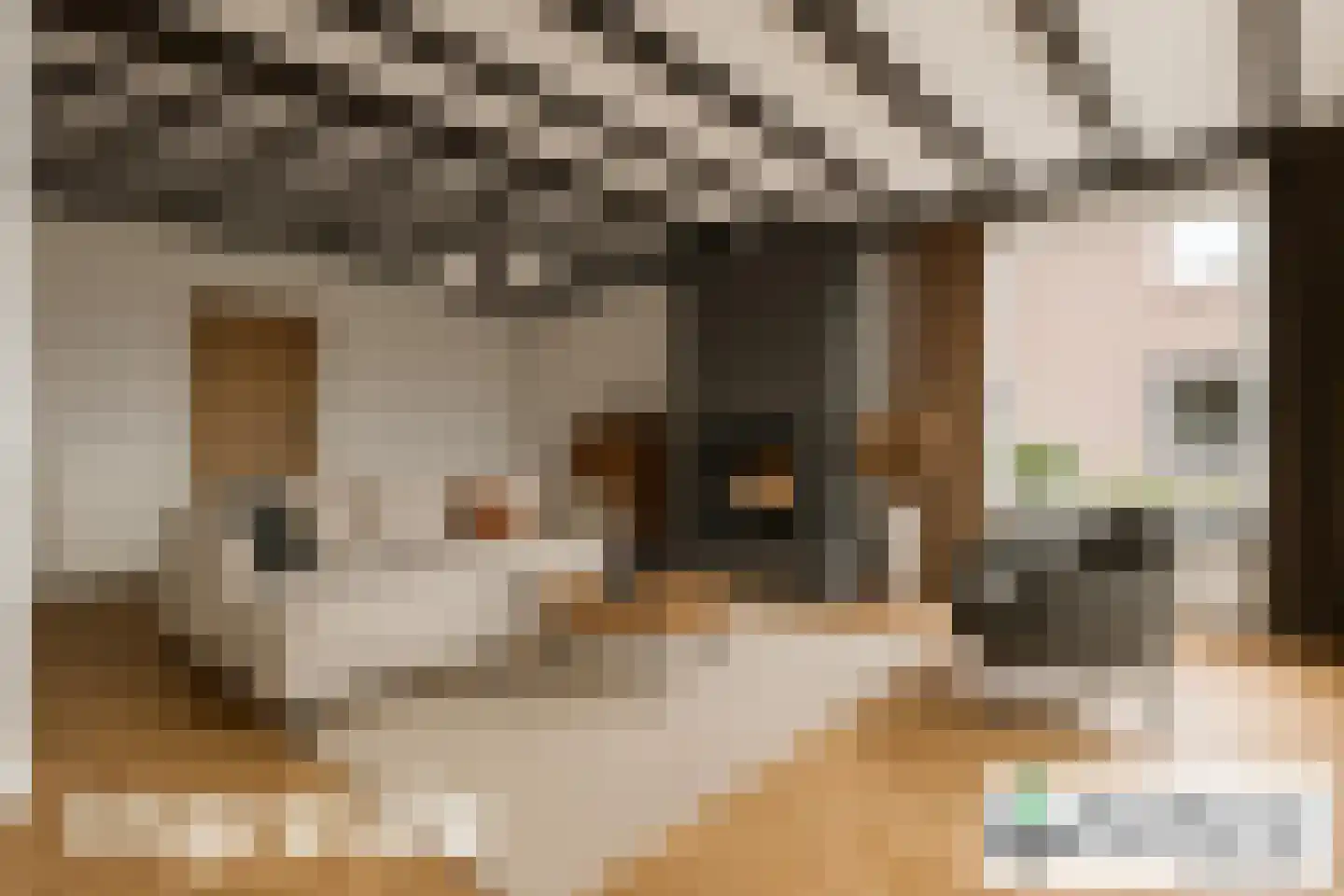 Schoolstraat 17 Dalen thumbnail 21
