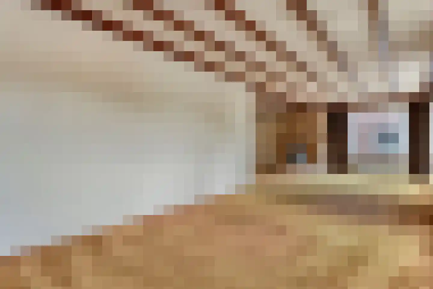 Schoolstraat 17 Dalen thumbnail 24