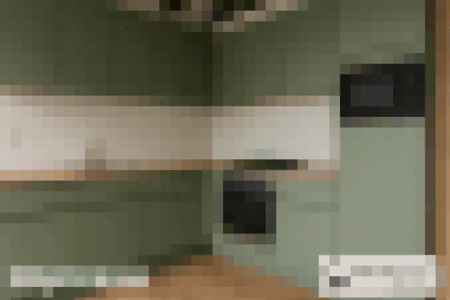 Schoolstraat 17 Dalen thumbnail 30