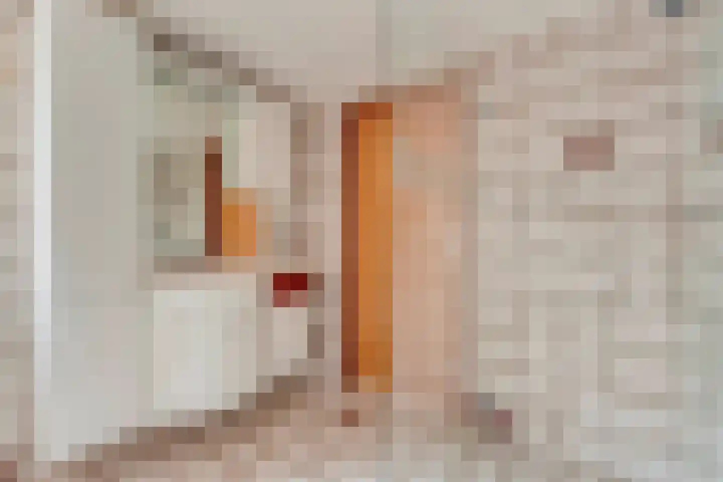 Schoolstraat 17 Dalen thumbnail 49