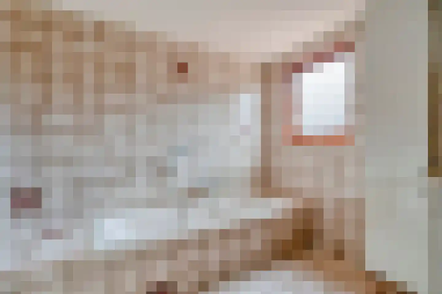 Schoolstraat 17 Dalen thumbnail 51