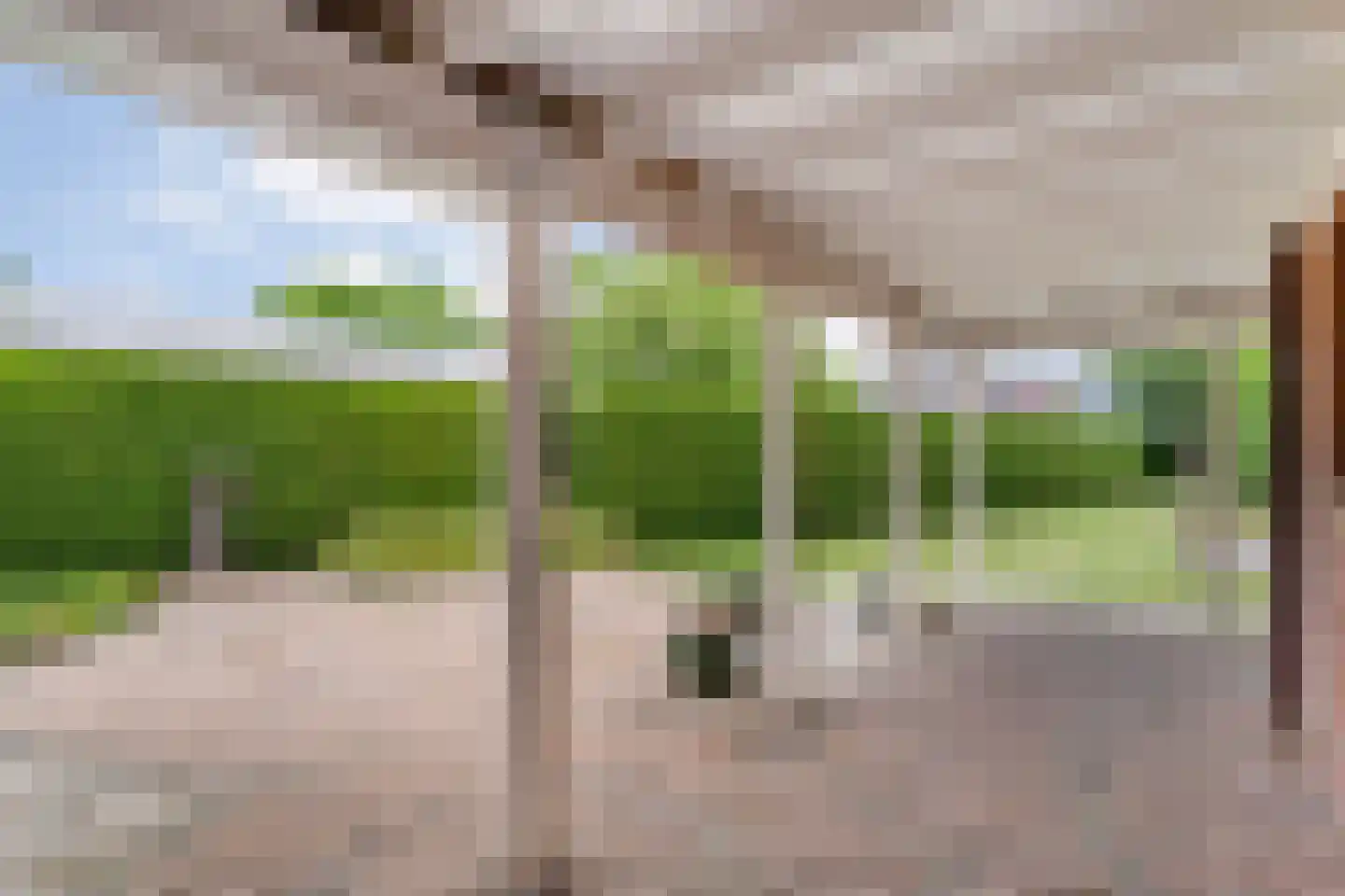 Schoolstraat 17 Dalen thumbnail 53