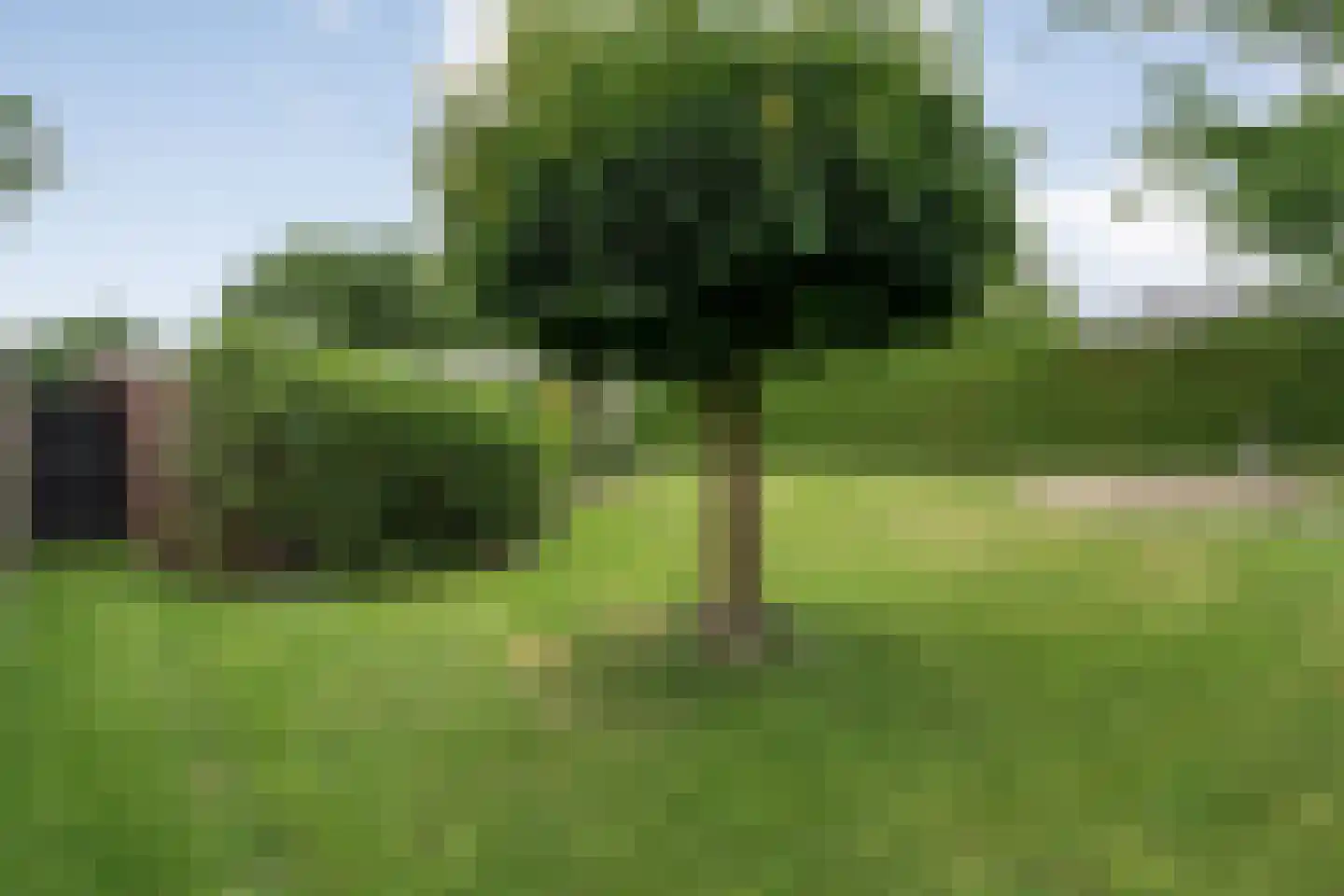 Schoolstraat 17 Dalen thumbnail 61