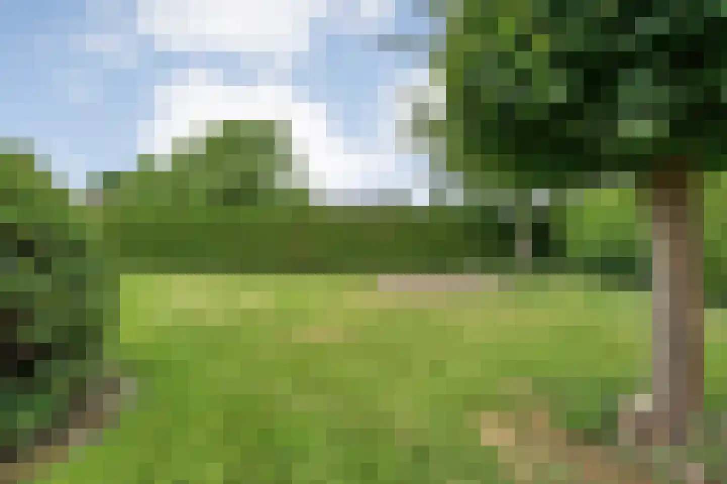 Schoolstraat 17 Dalen thumbnail 62
