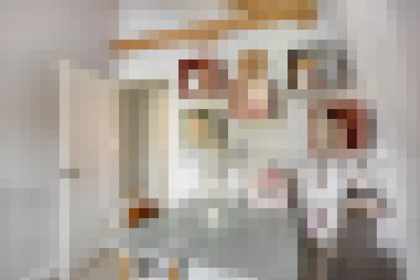 Schoolstraat 17 Krimpen aan de Lek thumbnail 33