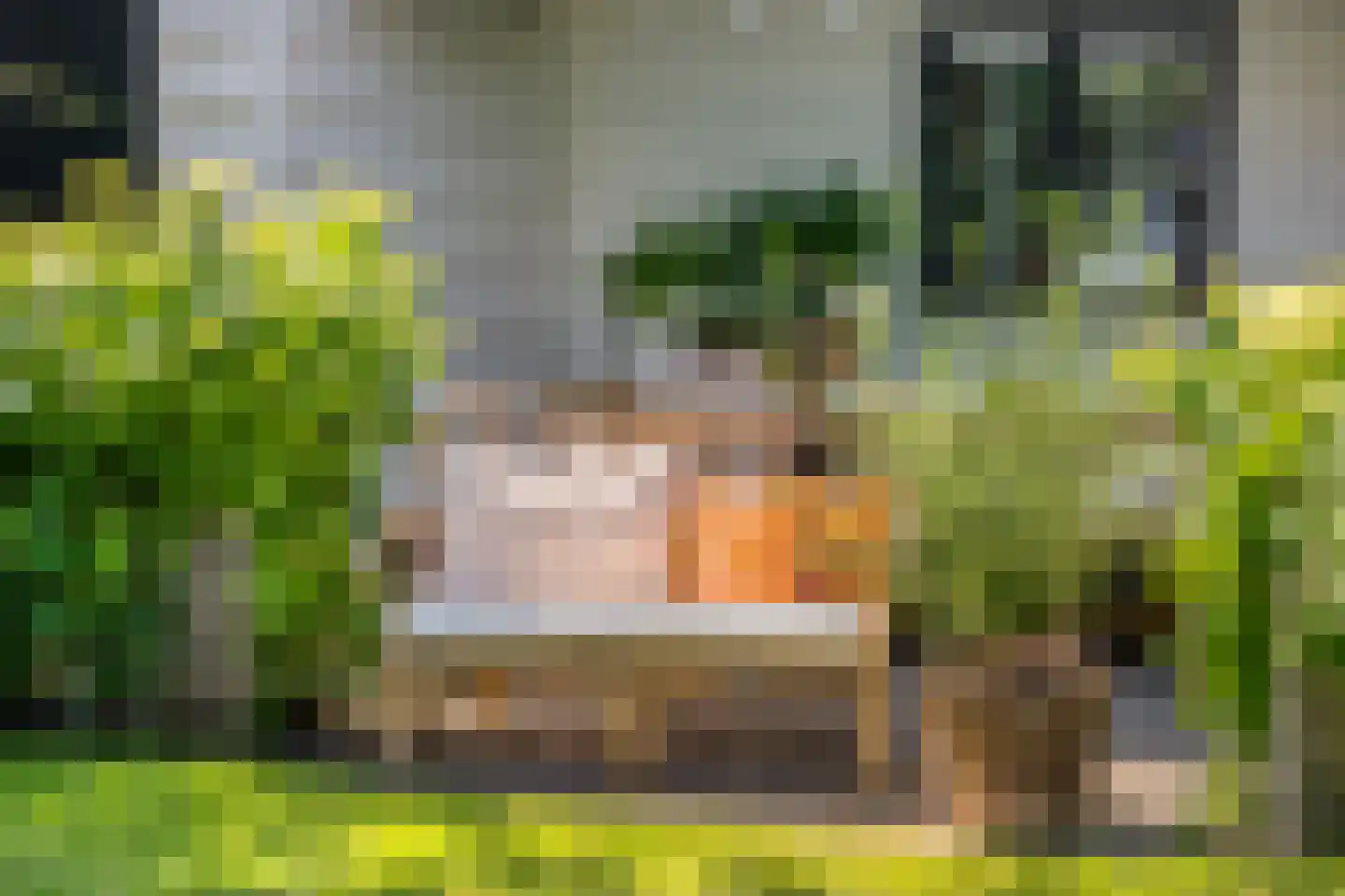 Schoolstraat 17 Krimpen aan de Lek thumbnail 47
