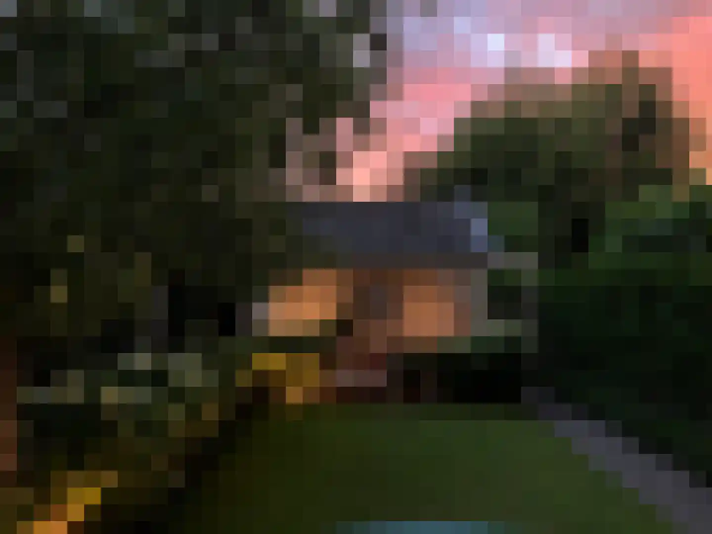 Schoolstraat 17 Krimpen aan de Lek thumbnail 49