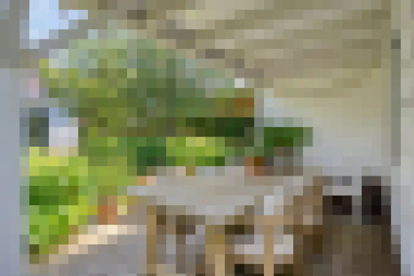 Schoolstraat 17 Krimpen aan de Lek thumbnail 52