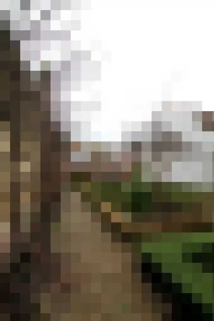 Schoolstraat 17 Maastricht thumbnail 5