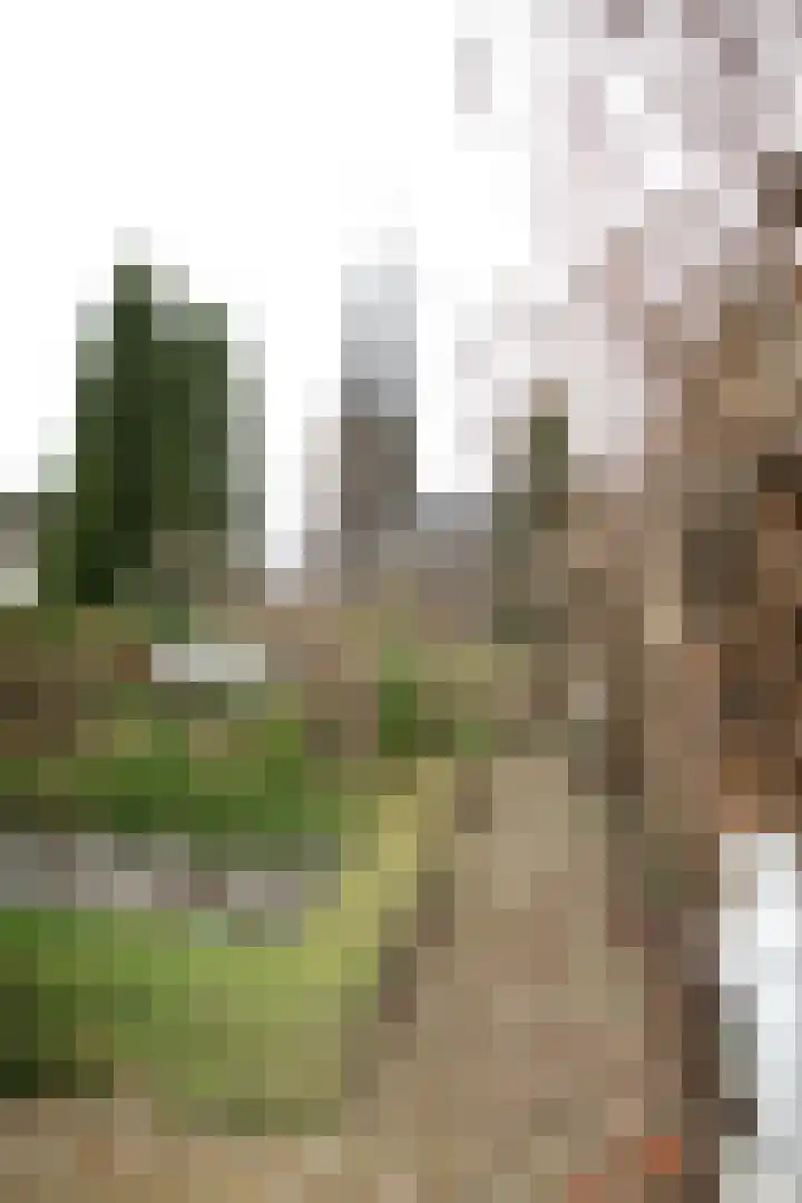 Schoolstraat 17 Maastricht thumbnail 6