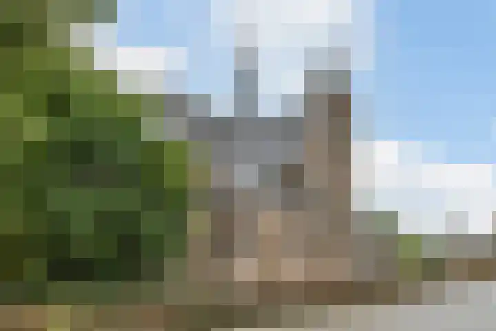 Schoolstraat 17 Molenschot thumbnail 33