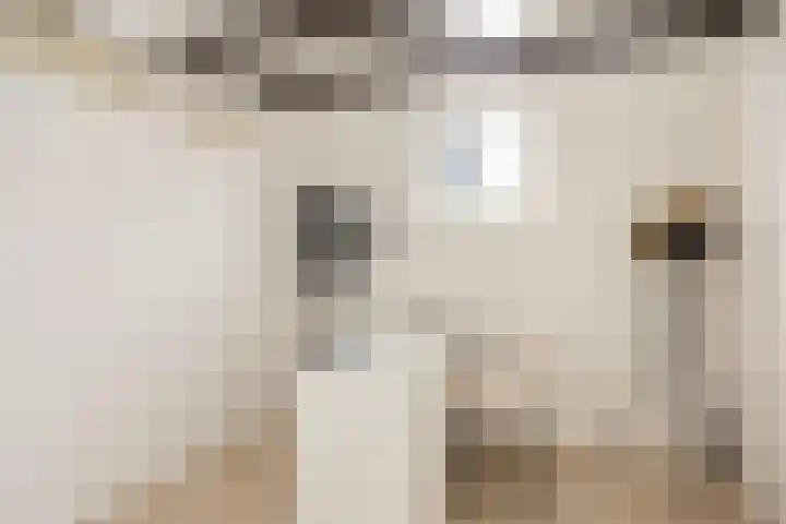 Schoolstraat 17 Overdinkel thumbnail 13