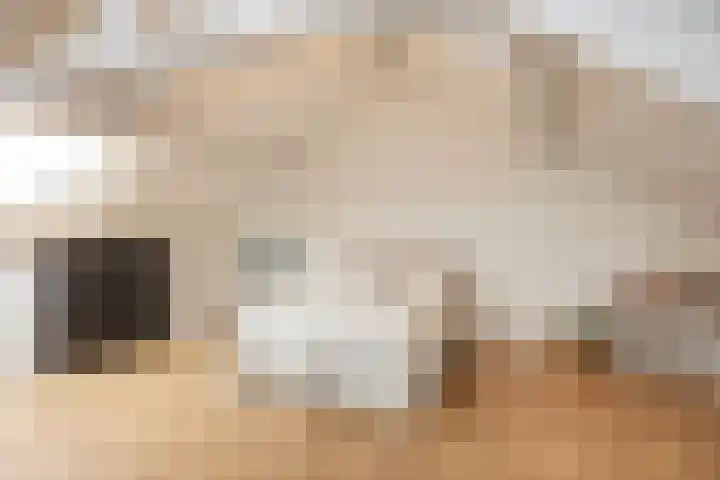 Schoolstraat 17 Overdinkel thumbnail 23