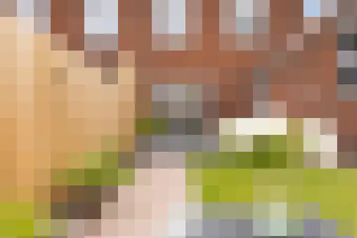 Schoolstraat 17 Overdinkel thumbnail 28