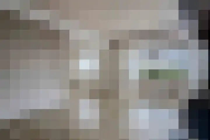 Schoolstraat 17 Peize thumbnail 11
