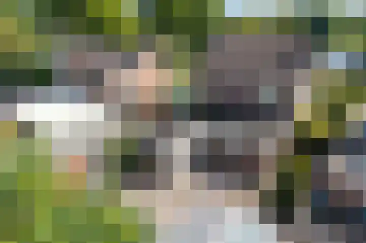 Schoolstraat 17 Peize thumbnail 40