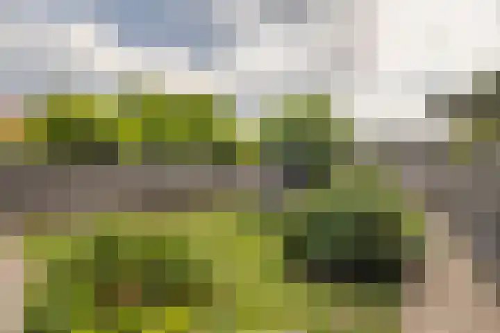 Schoolstraat 17 Sleeuwijk thumbnail 12