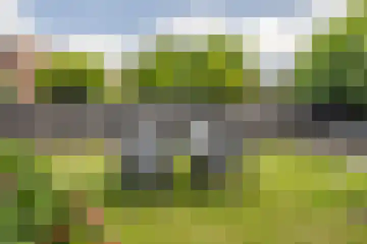 Schoolstraat 17 Sleeuwijk thumbnail 13