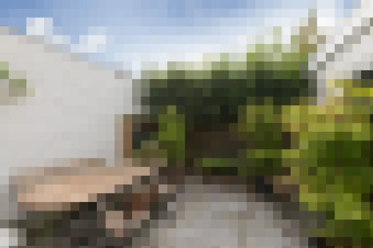 Schoolstraat 17 Sneek thumbnail 16