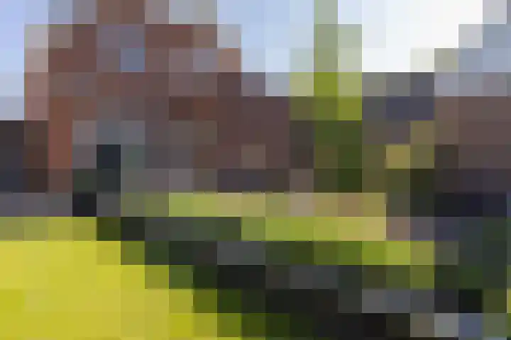 Schoolstraat 18 Bunschoten-Spakenburg thumbnail 36