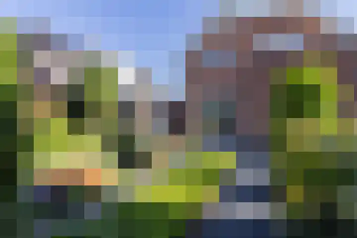 Schoolstraat 18 Bunschoten-Spakenburg thumbnail 37