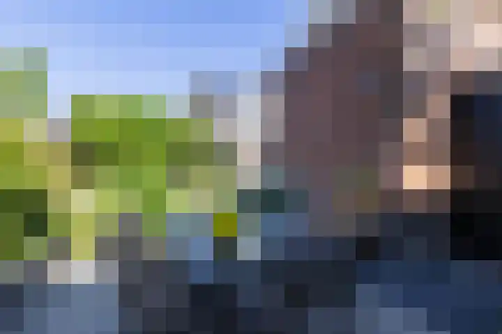 Schoolstraat 18 Bunschoten-Spakenburg thumbnail 39