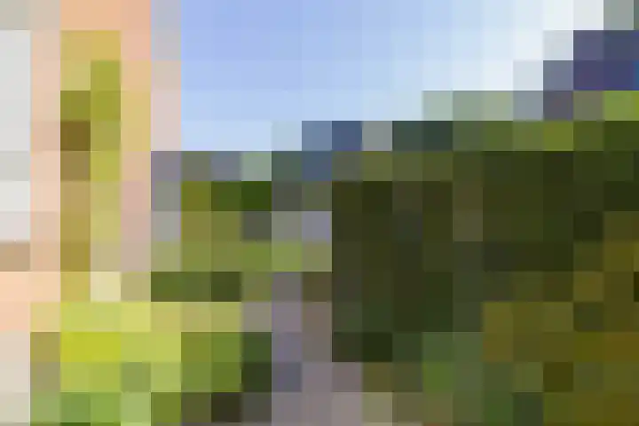 Schoolstraat 18 Bunschoten-Spakenburg thumbnail 41