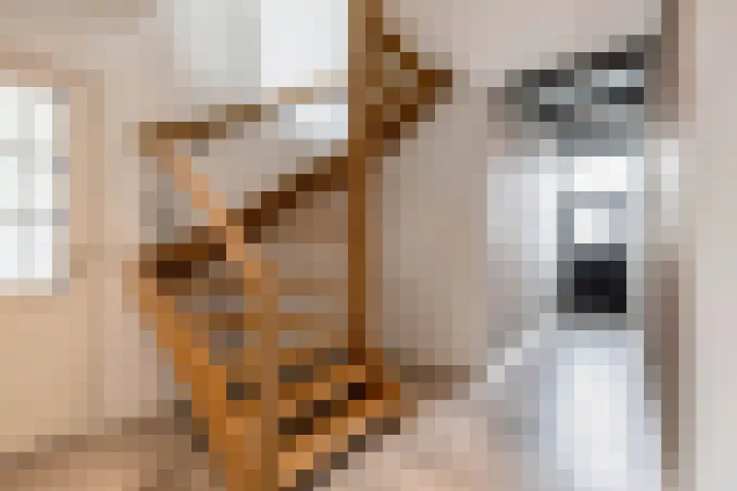 Schoolstraat 18 Burgwerd thumbnail 12
