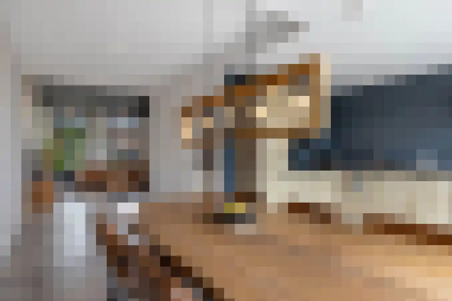 Schoolstraat 18 Burgwerd thumbnail 24