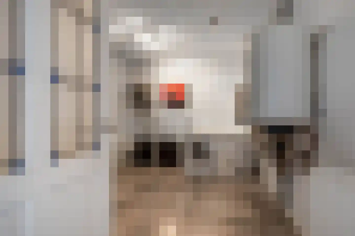 Schoolstraat 18 Burgwerd thumbnail 32