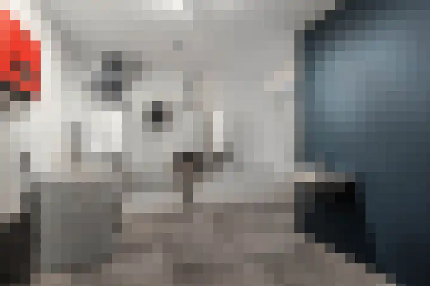 Schoolstraat 18 Burgwerd thumbnail 34