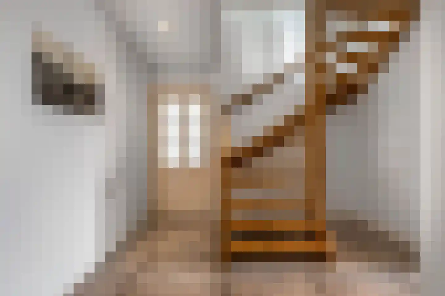 Schoolstraat 18 Burgwerd thumbnail 36