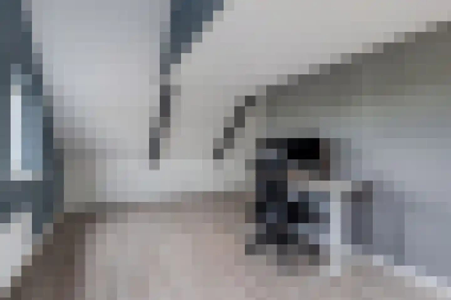 Schoolstraat 18 Burgwerd thumbnail 39