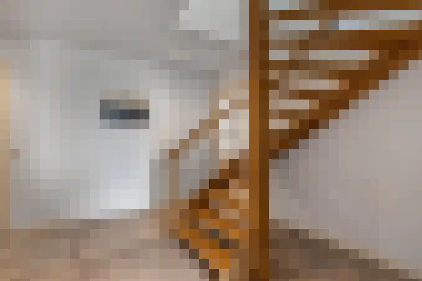 Schoolstraat 18 Burgwerd thumbnail 46