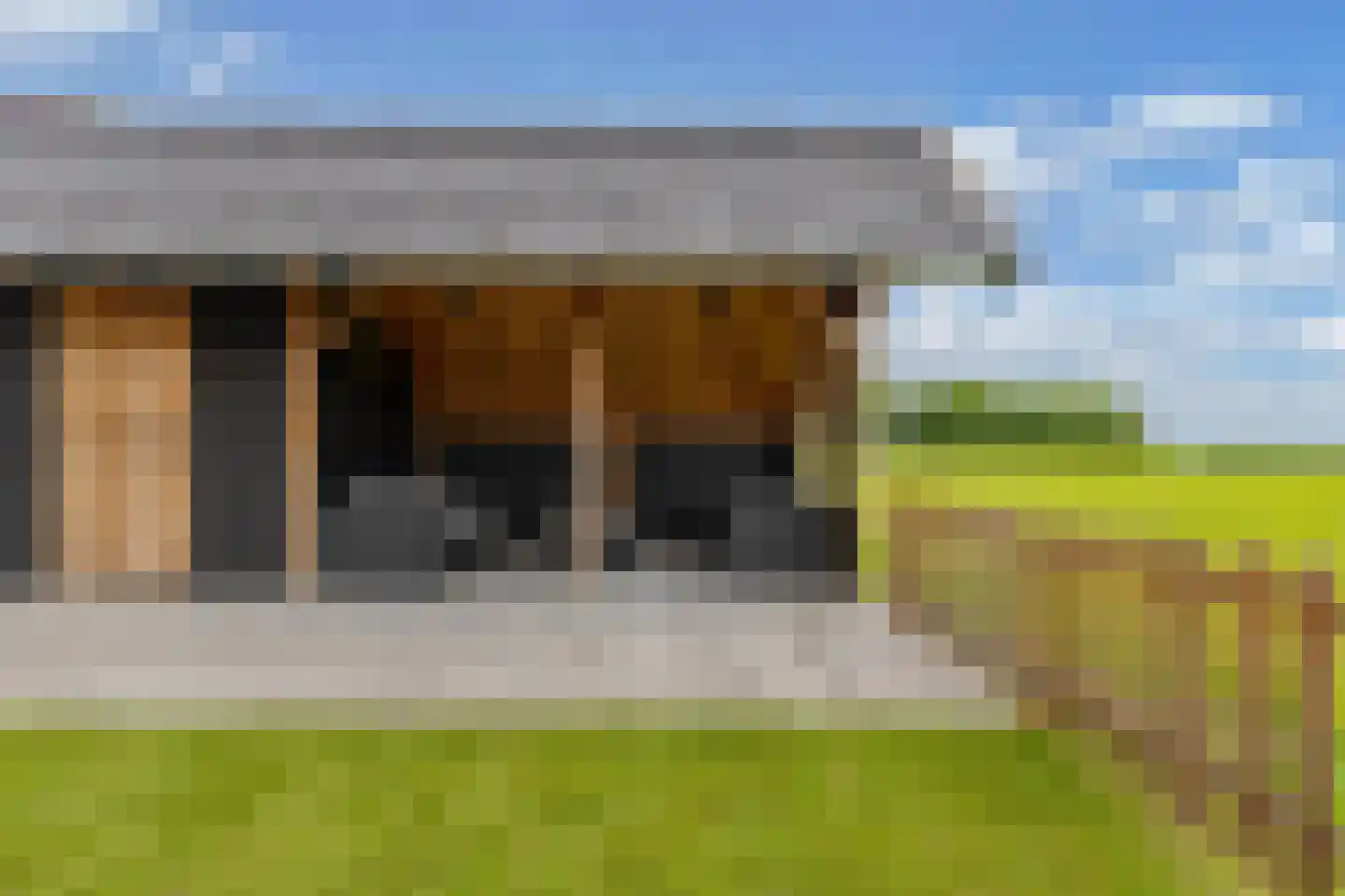 Schoolstraat 18 Burgwerd thumbnail 52