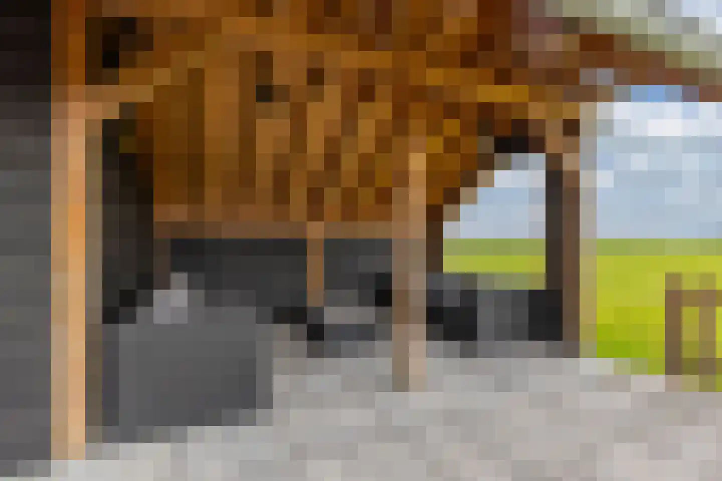 Schoolstraat 18 Burgwerd thumbnail 55