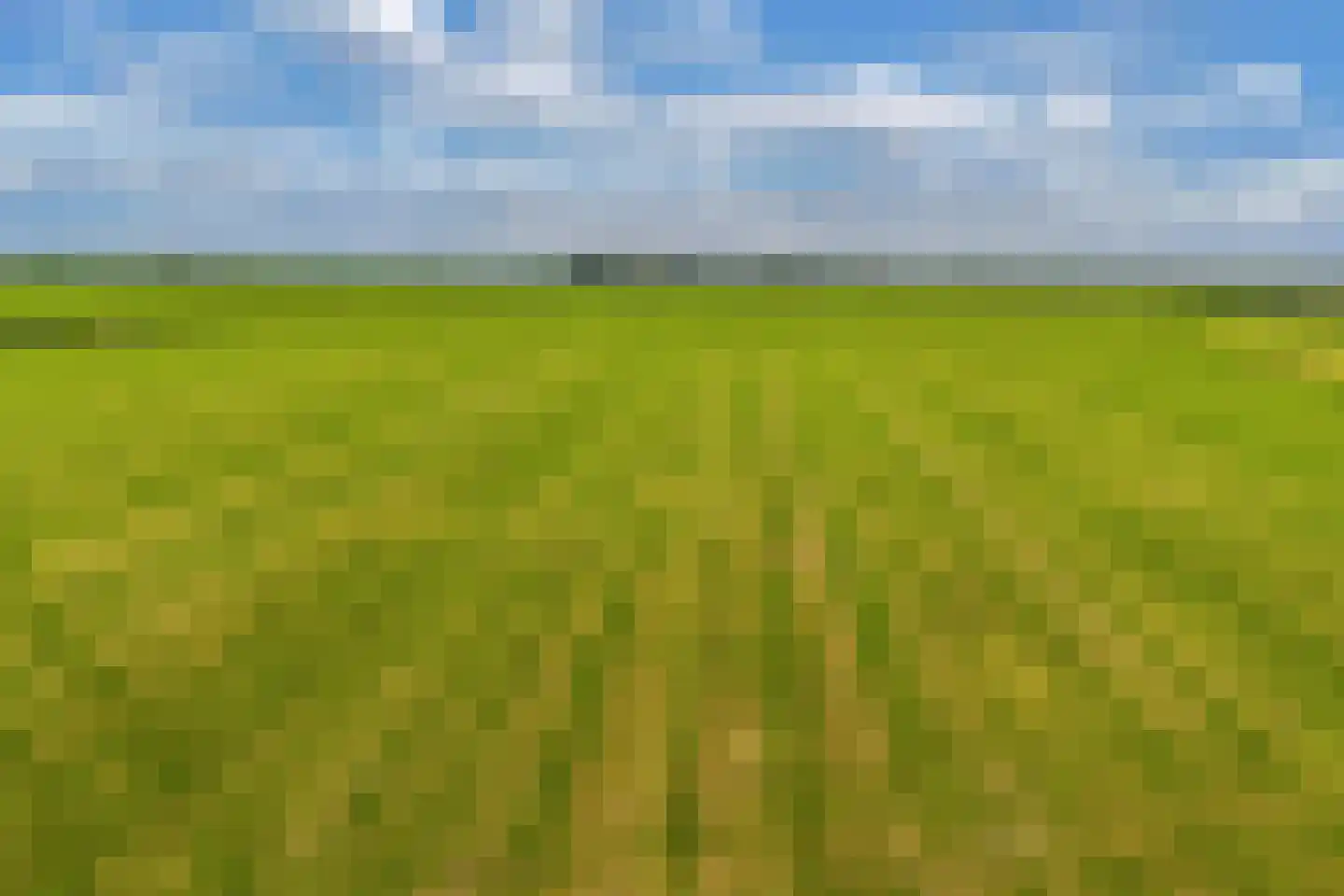 Schoolstraat 18 Burgwerd thumbnail 56