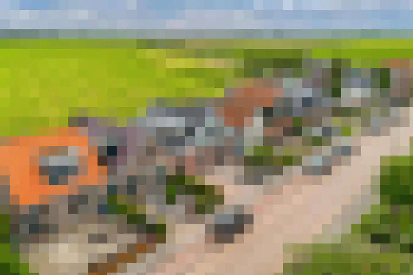 Schoolstraat 18 Burgwerd thumbnail 64