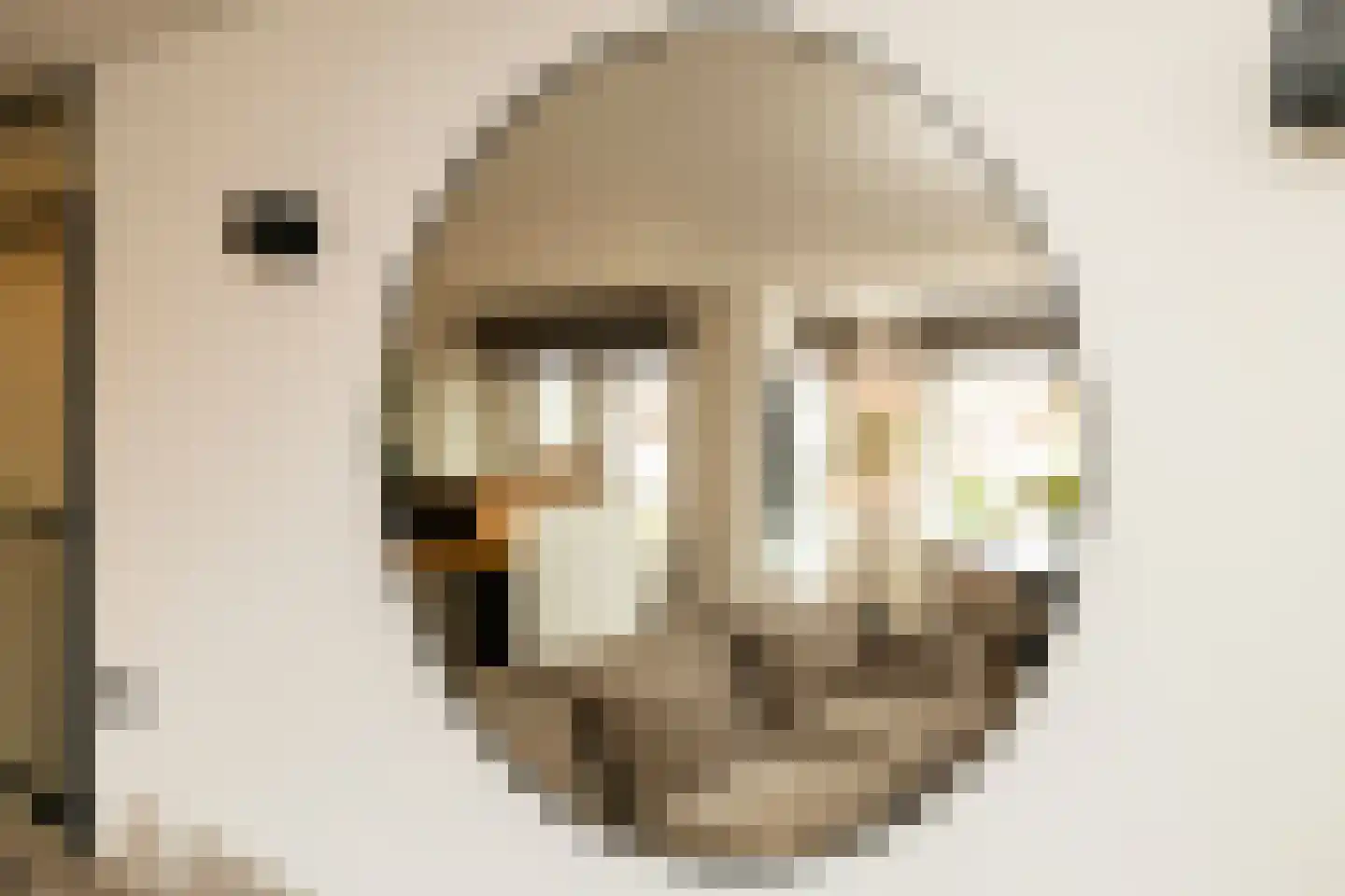 Schoolstraat 18 C Hoek van Holland thumbnail 14