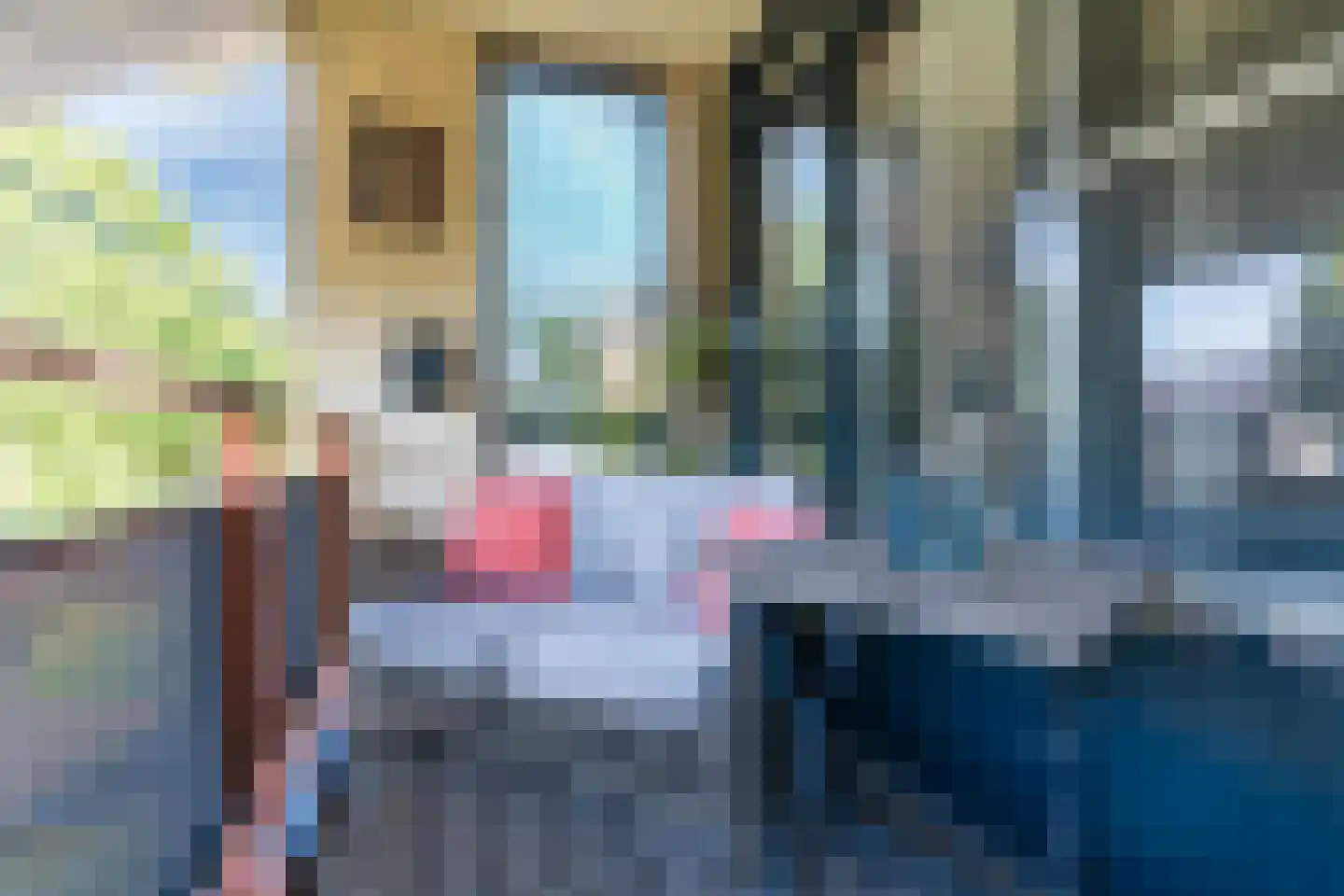 Schoolstraat 18 d Vorstenbosch thumbnail 18