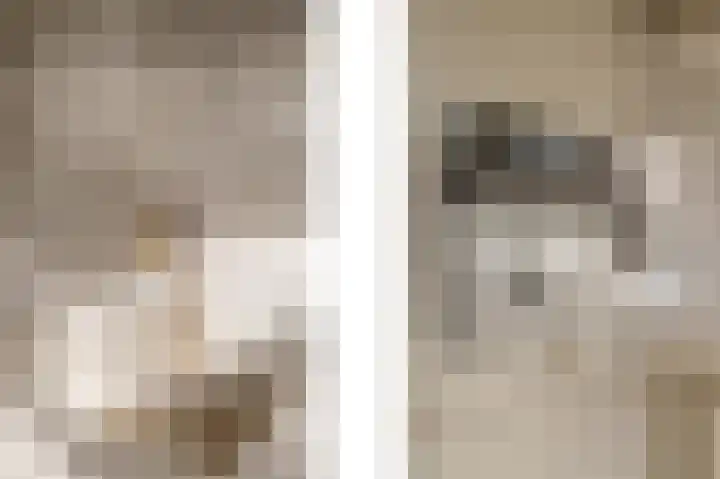 Schoolstraat 18 Krimpen aan de Lek thumbnail 10
