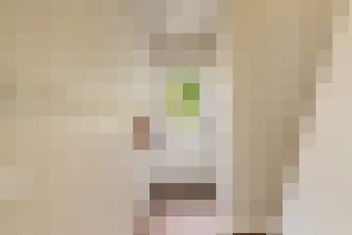 Schoolstraat 18 Krimpen aan de Lek thumbnail 11