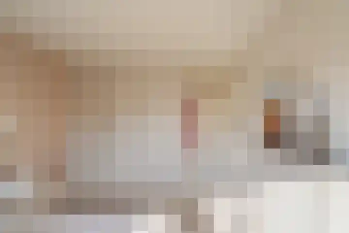 Schoolstraat 18 Krimpen aan de Lek thumbnail 14