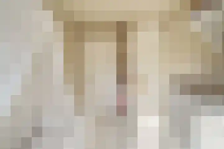 Schoolstraat 18 Krimpen aan de Lek thumbnail 16
