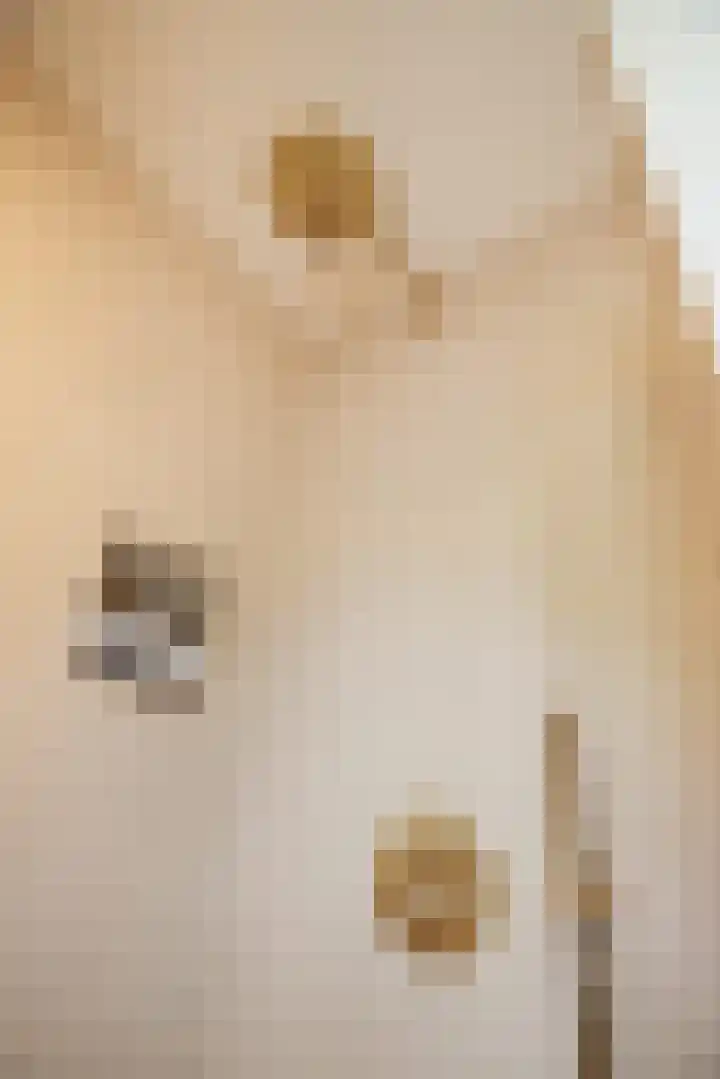 Schoolstraat 18 Krimpen aan de Lek thumbnail 21